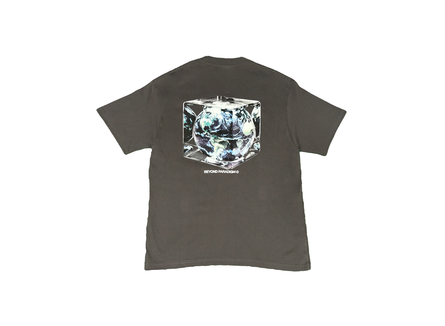 Cold World T-Shirt (Gray)